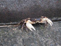 Visite de la petite cousine !